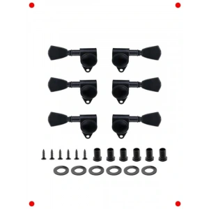 fesyonel Akustik Gitar rgu Takımı - Siyah