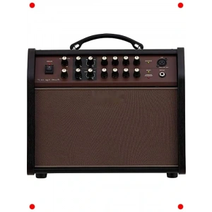 fesyonel Akustik Gitar ve Vokal Amfisi