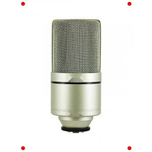 fesyonel Kondenser Stüdyo Mikrofonu