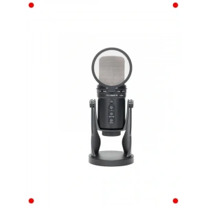 fesyonel Mikrofon Pop Filtr