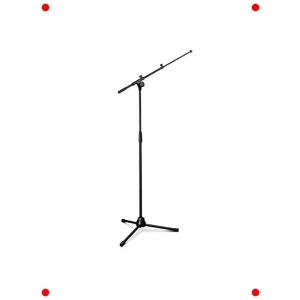 fesyonel Mikrofon Standı, 2 Noktalı Uzmalı Kol