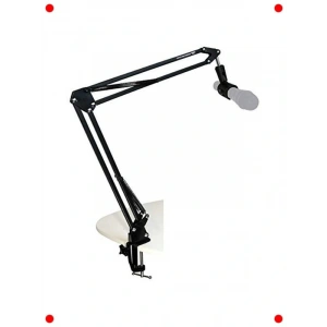 fesyonel Mikrofon Standı ve Bağlantı Kablosu