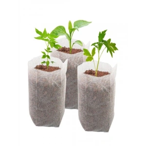 Fide Çimlendirme Torbası 20 Adet ile Kolay Yetiştirme