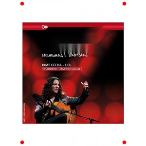 Flamenko Gitar Teli Normal Gerilim Seti