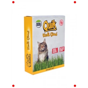 Gerçek Topraklı Kedi Çimi - Sindirime Yardımcı Doğal Ot