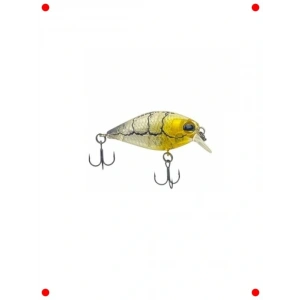 Gerçekçi Karides Yem Balıkçılık