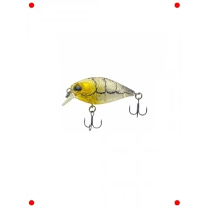 Gerçekçi Karides Yem Balıkçılık