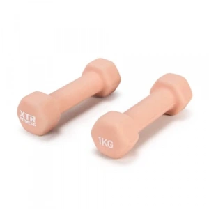 Güçlü Egzersiz İçin 1 kg x 2 Adet Dambıl Seti