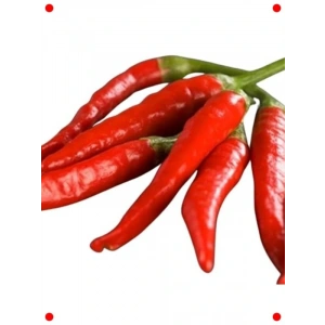 Hatay Acı Biber Tohumu - Yoğun Lezzet