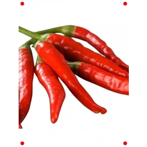 Hatay Acı Biber Tohumu - Yoğun Lezzet