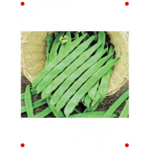 Helga Fasulye Tohumu - 10 gram