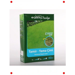 Hızlı Çim Onarım ve Yama Tohumu 1 Kg