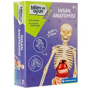 İlk Keşiflerim - İnsan Anatomisi, Eğitici Hobi Kitabı