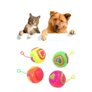 Işıklı Oyun Topu, Kalp Model, 6.5 cm, 1 Adet