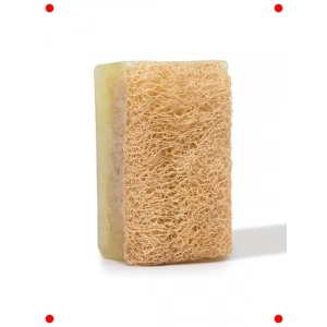 Kabak Lifli Çay Ağacı Sabunu & Shea Yağı 130 gr