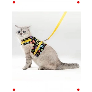 Kaçış Önleyici Evcil Hayvan Gezdirme Tasması (S, Sarı)