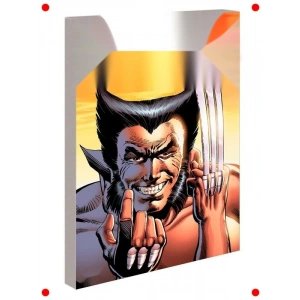 Kahraman Öyküsü: Özel Baskı Çizgi Roman Koleksiyonu