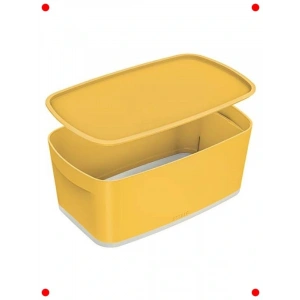 Kapaklı Küçük Ofis Saklama Kutusu - Tekli