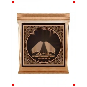 Kaplamalı Akustik Gitar Telleri (Fosfor Bronz, 12-54)