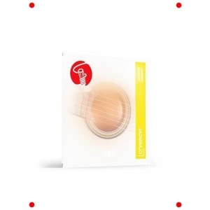 Kaplamalı Klasik Gitar Teli - Normal Tansiyon