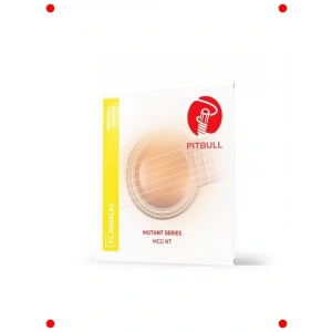 Kaplamalı Klasik Gitar Teli - Normal Tansiyon