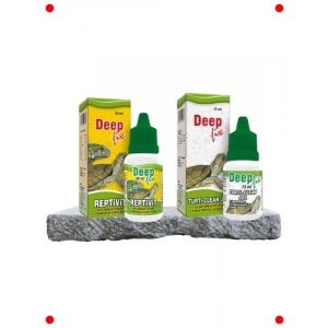 Kaplumbağa Bakım Seti