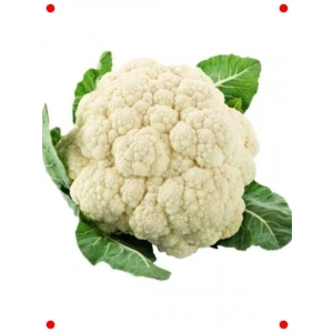 Karnabahar Tohumu - 5 Gram