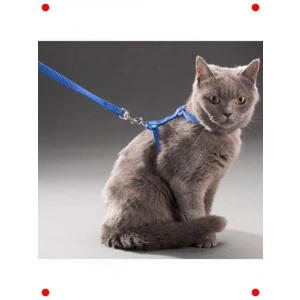 Kedi Göğüs Tasması: Ayarlanabilir, Konforlu, 110 cm