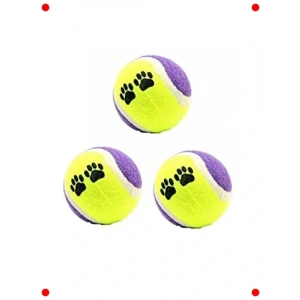 Kedi ve Köpek Eğitim Topu Seti (3lü)