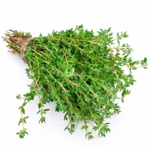 Kekik Tohumu - 3 Gram