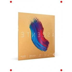 Keman Teli - Aente Serisi, 4/4 Boyut