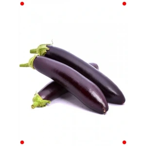 Kemer Patlıcan Tohumu (5 gr) - Bereketli Hasat