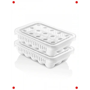 Kilitli Kapaklı 30 Yumurta Saklama Kabı