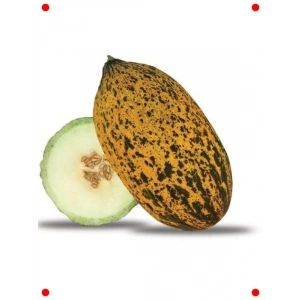 Kırkağaç Kavun Tohumu (5 gr) - Yazın Serinliği