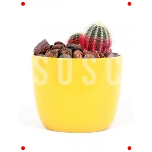 Kırmızı Volkanik Pomza Taşı, 2-3 cm, 10 Litre