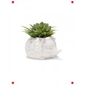 Kirpi Tasarımlı Seramik Sukulent Saksısı, Mini