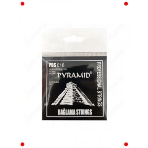 Kısa Sap Bağlama Teli Takımı (0.18 Kalınlık)