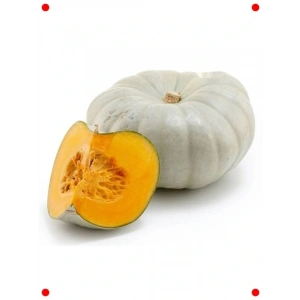 Kışlık Saklama Kabağı Tohumu - Uzun Süre Taze Kalır