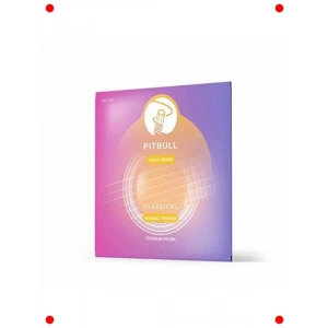 Klasik Gitar Teli Seti – Normal Tansiyon