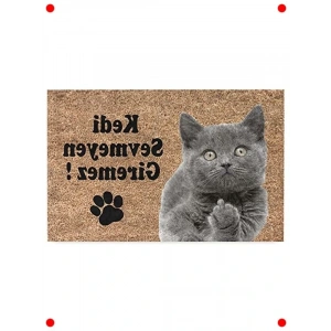 Kok Desenli Dekoratif Kapı Önü Paspası (45x70 cm)