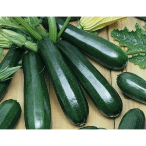 Kolsuz Kara Kabak Tohumu - Doğal Sofralık Alternatif
