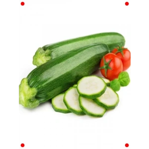 Kolsuz Kara Kabak Tohumu - Kompakt ve Verimli Bitki