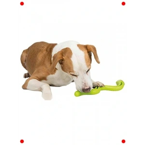 Köpek Ödül Oyuncağı - Yeşil Yılan TPR 42cm