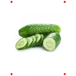 Kornişon Salatalık Tohumu (Çoklu Paket, 3 Gram)