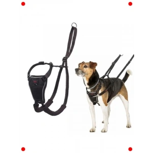 Küçük Irk Köpekler İçin Çekme Önleyici Göğüs Tasması