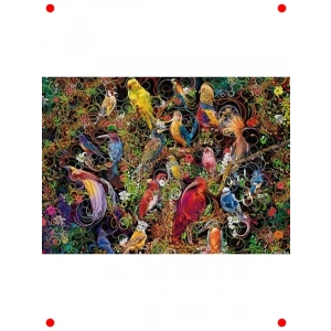 Kuşlar Temalı 1000 Parça Yetişkin Yapbozu