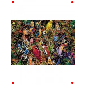 Kuşlar Temalı 1000 Parça Yetişkin Yapbozu