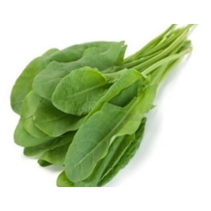 Kuzu Kulağı Tohumu - 5 Gram, Canlı Yeşil