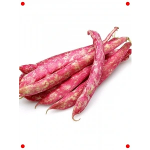 Lezzetli Barbunya Tohumu - 25 gr - Çoklu