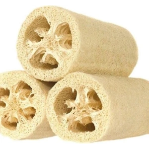 Lif Kabak Tohumu - 10 Adet